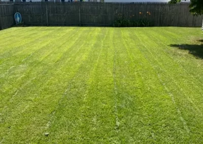 Best Landscaping Contractor