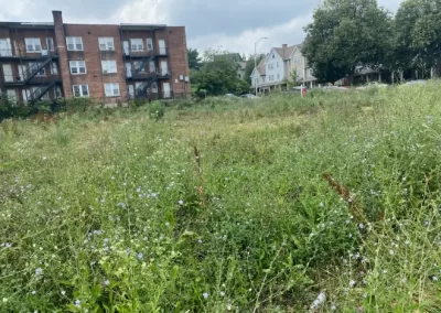 Best Landscaping Services