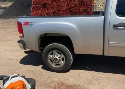 Best Residential Landscaping