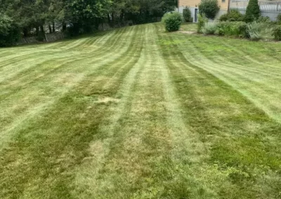 Professional Landscaping Contractor