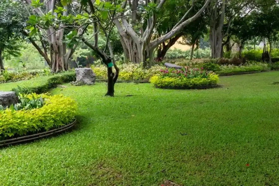 Quality Landscape Maintenance East Hartford, CT Quality Landscape Maintenance East Hartford, CT