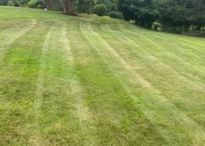 Quality Mulching Services