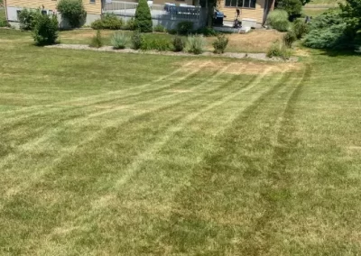 Reliable Landscaping Services