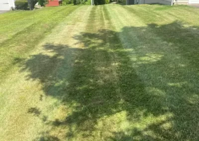 Top Landscaping Contractor