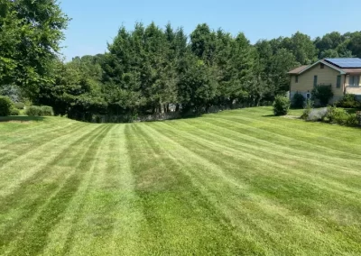 Trusted Mulch Landscaping